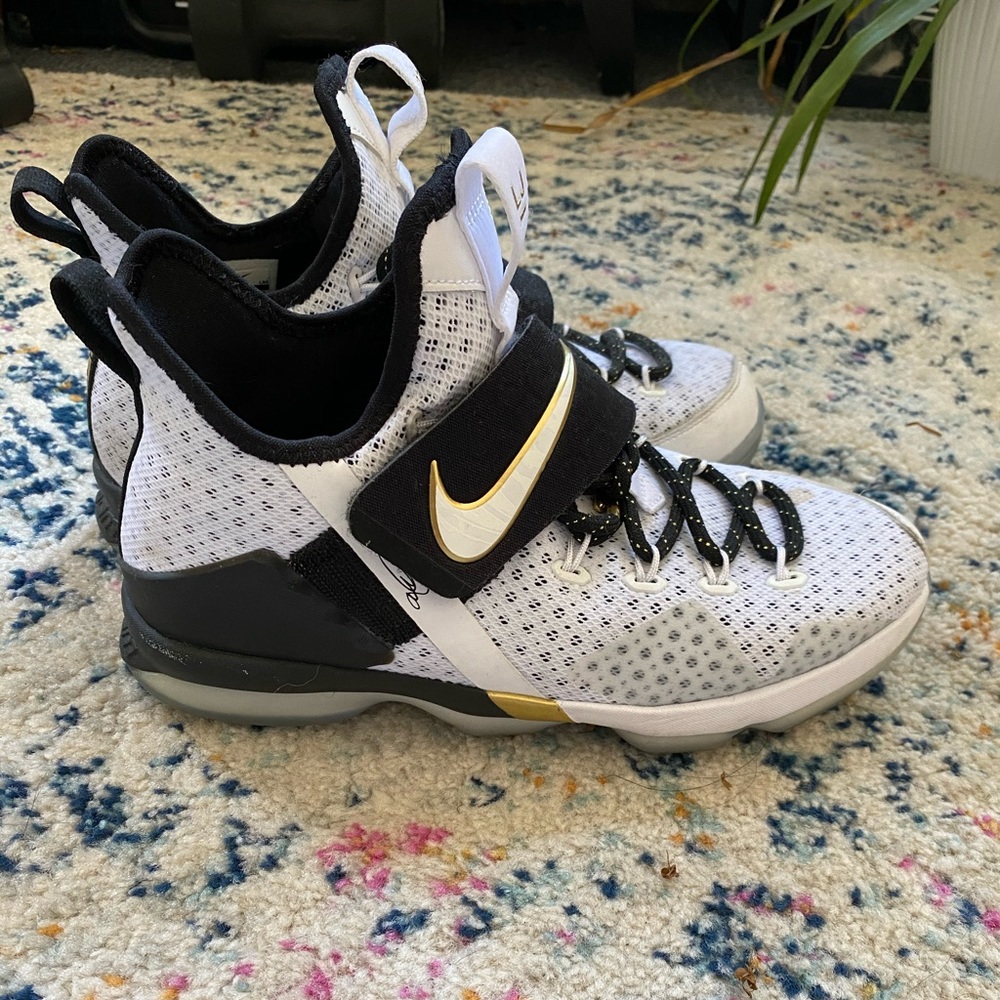 Lebron James Nike basketball shoes.